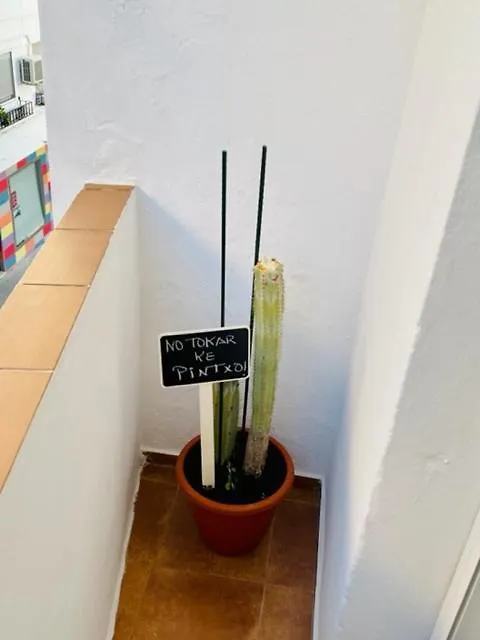Aita Casa Barbate Apartment Spain